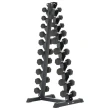 Expositor Torre Suporte para Halteres Pesos e Dumbbells de 1 a 10kg Gallant Elite (GTE20VFEA-PT)